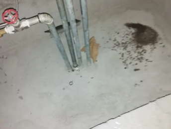 宁乡卫生间测漏水价格明细