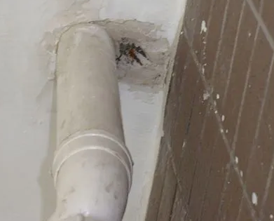 宁乡漏水检测哪家好